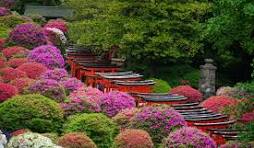 تصویر مزرعه ۲